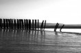 /album/wissant-sans-web-sans-net-juste-la-vie-a-wissant/image-reduit-0171-jpg/